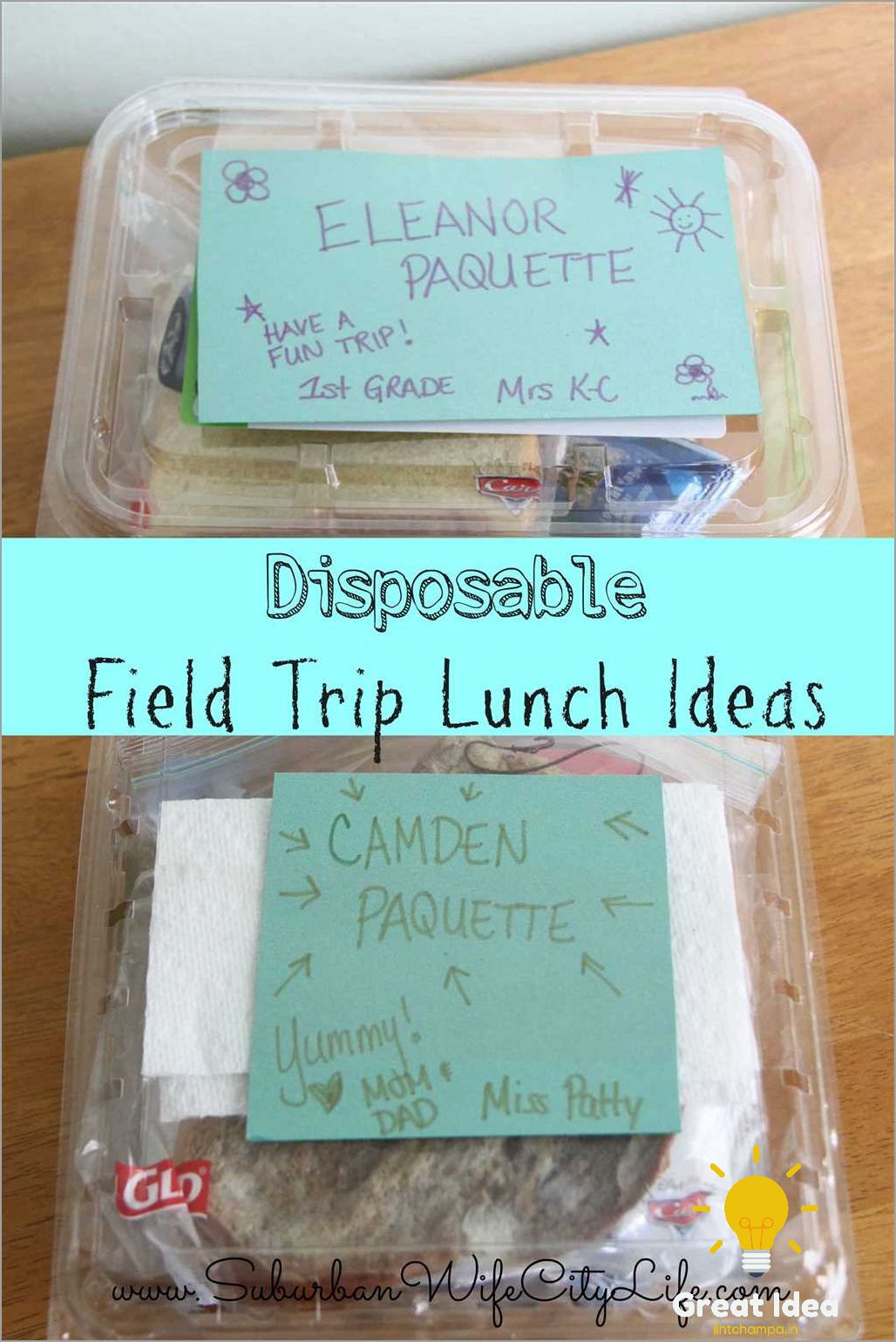 sack lunch ideas for field trip delicious and nutr